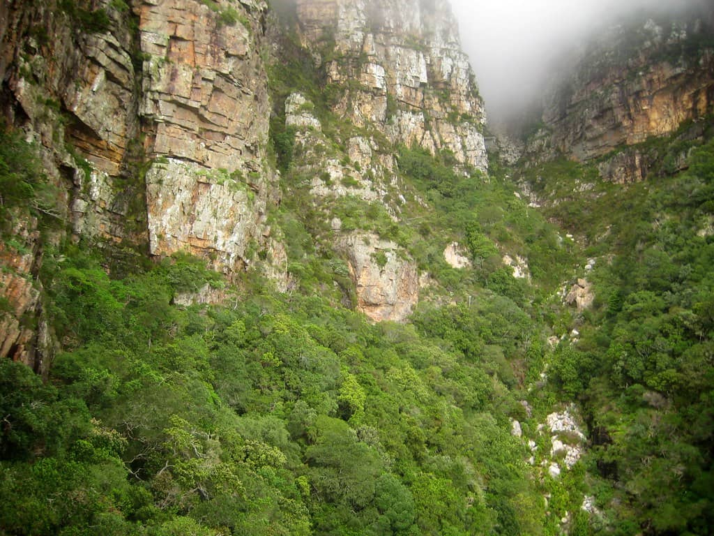 Gentle, Accessible Trail