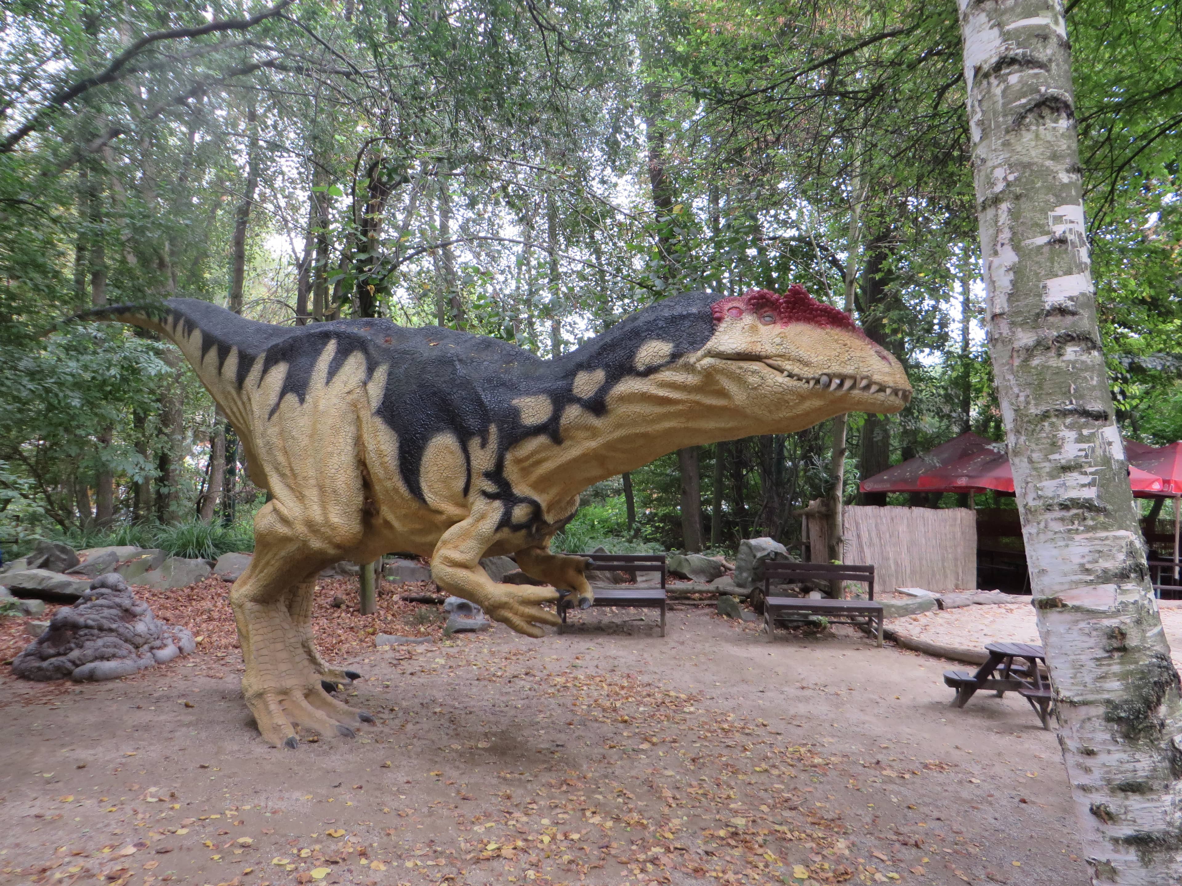 Playgrounds and Activity Zones