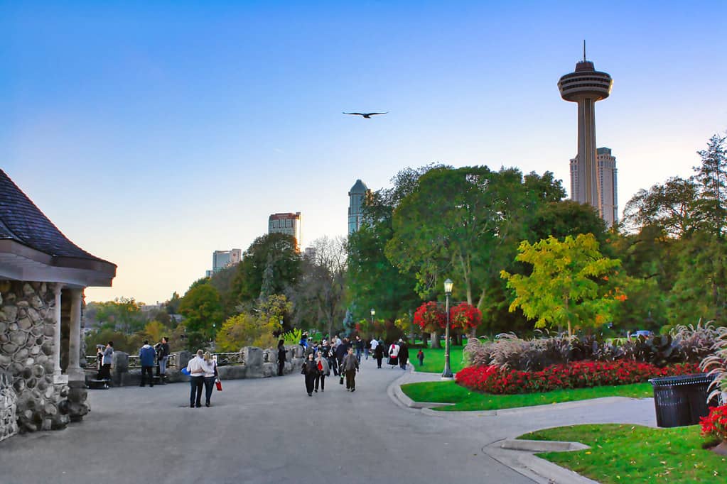 Seasonal Flower Gardens