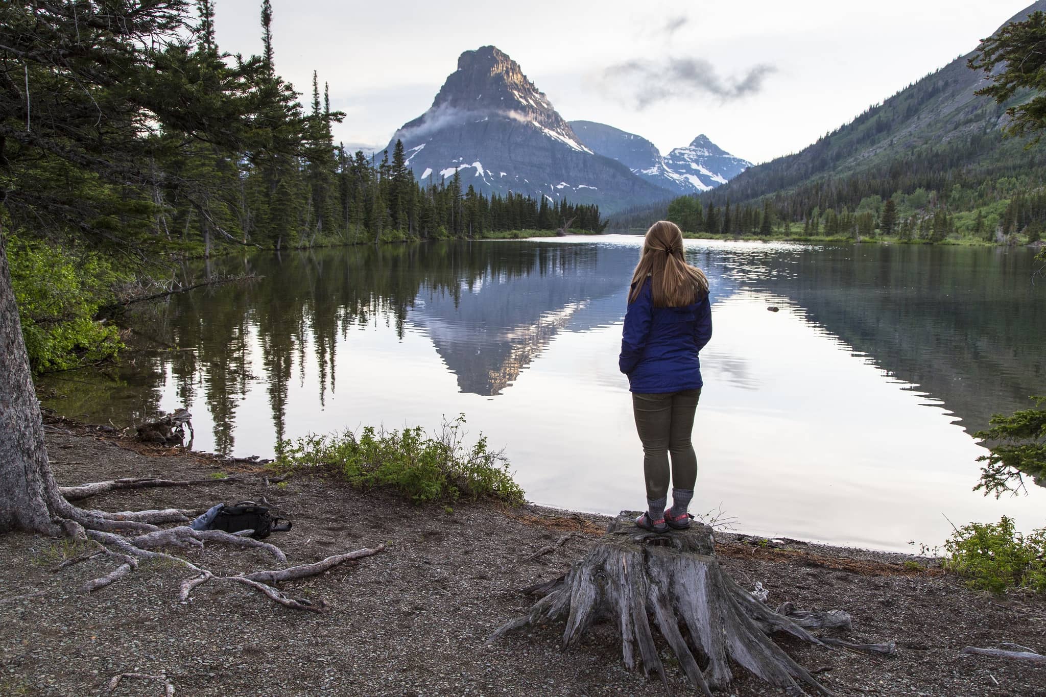 Montana's Vast Wilderness