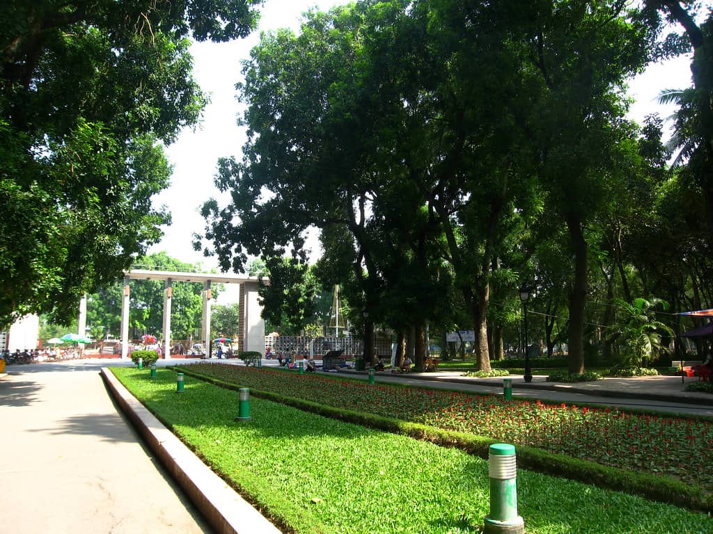 Greenery and Mature Trees