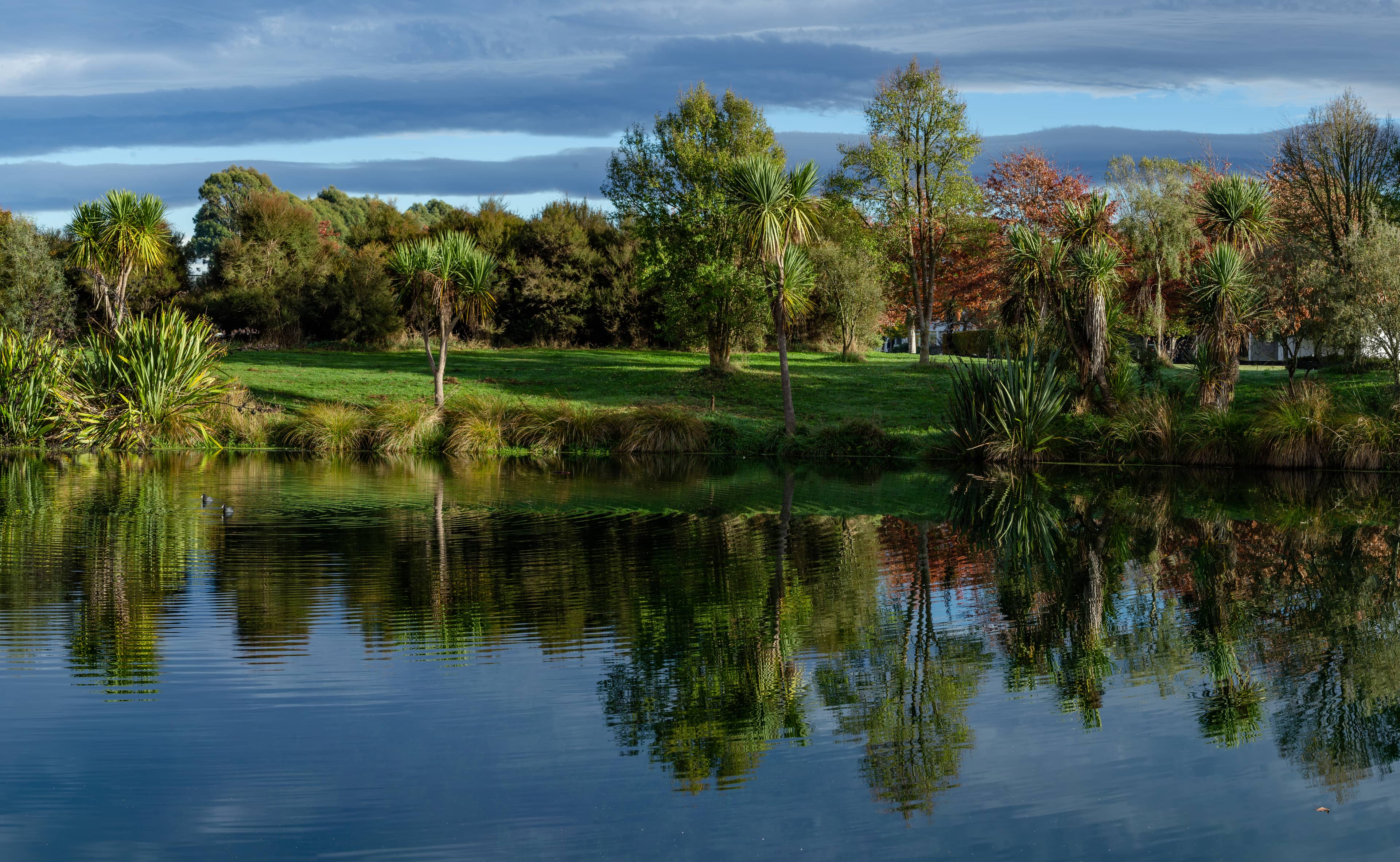 Tranquil Lakeside Walks