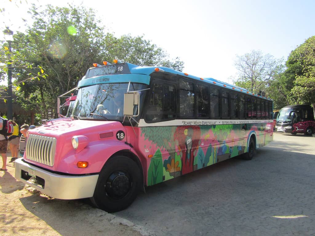 Xcaret Ferry Experience