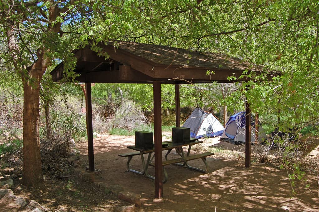 Shaded Cottonwood Trees