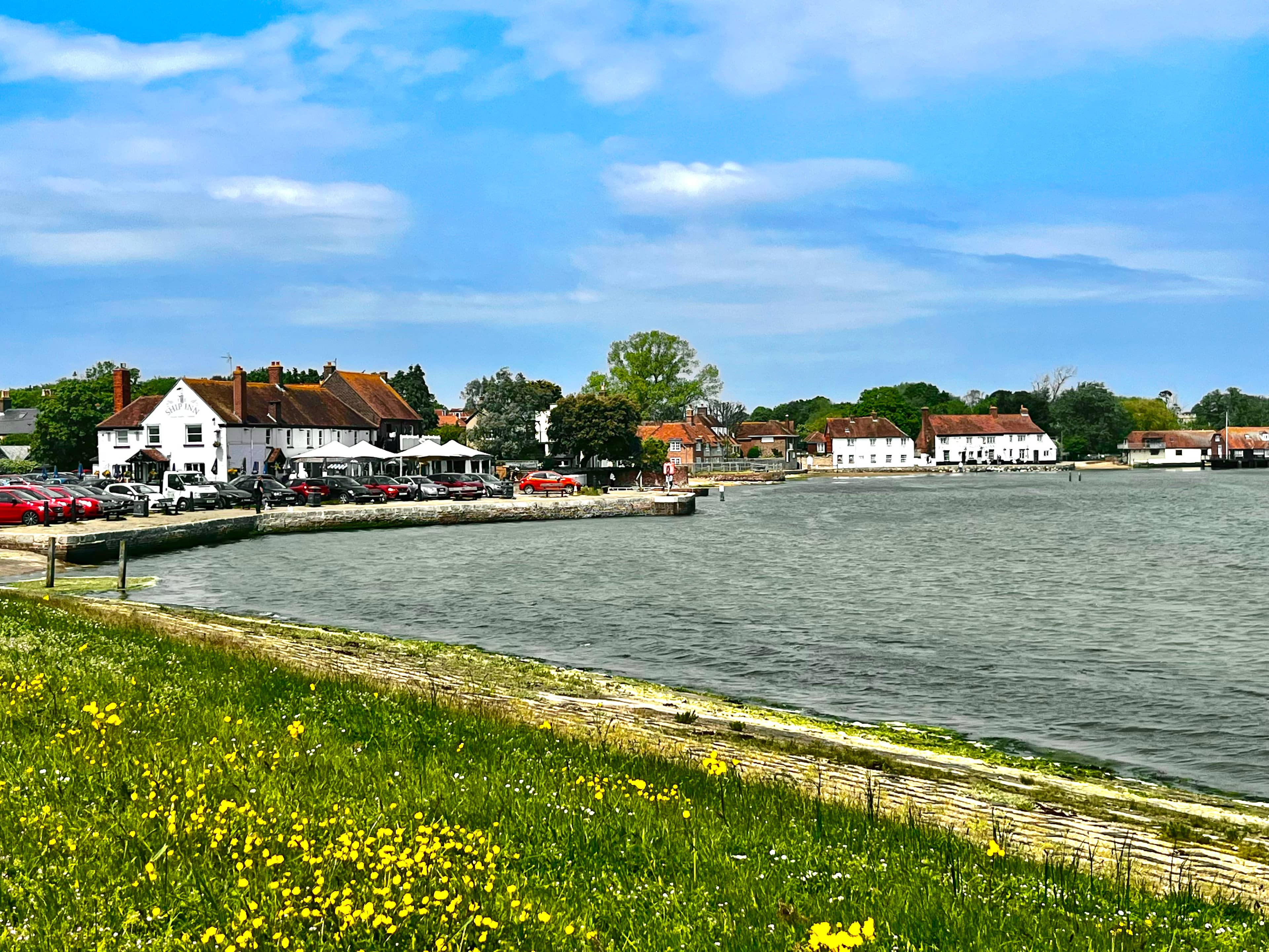 Harbour Views and Dog Walking