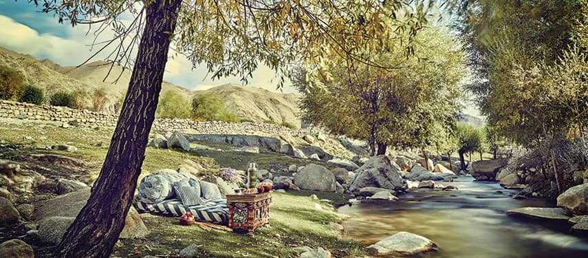 Lush Greenery and Flowers