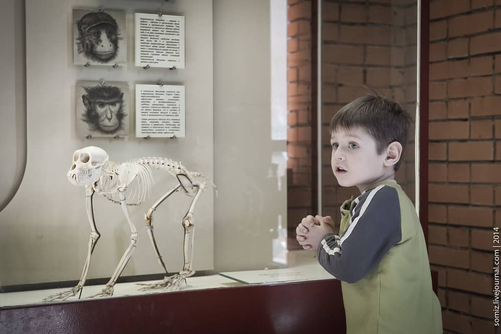 Artistic Interpretations