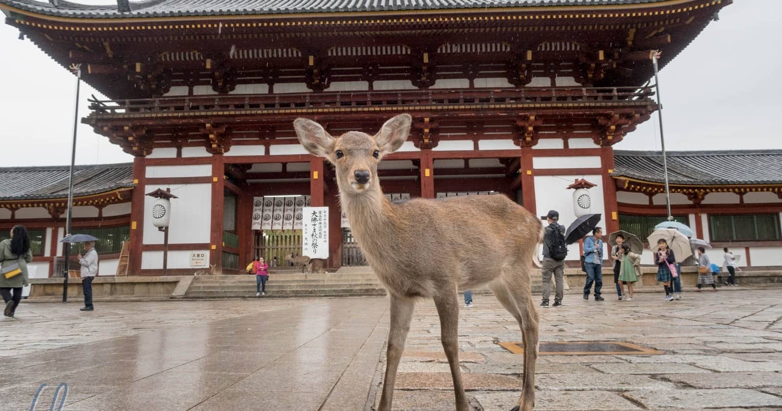 Customizable Music Boxes