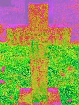 Architectural Marvels