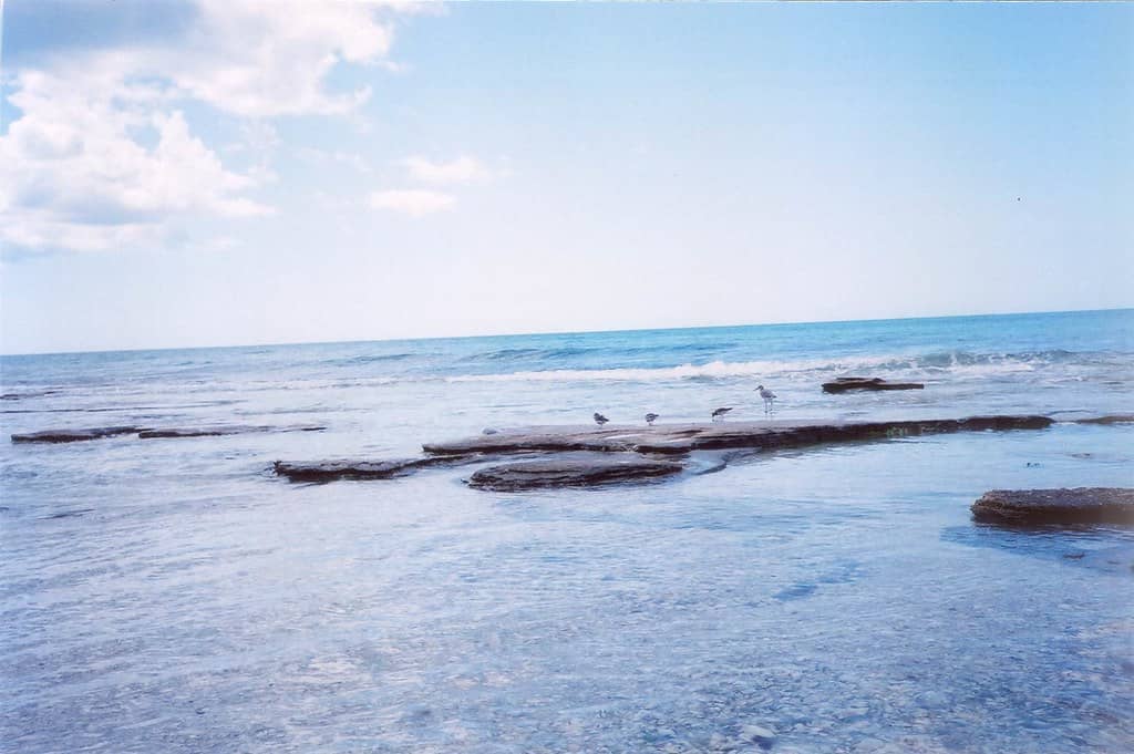 Crystal-Clear Turquoise Waters