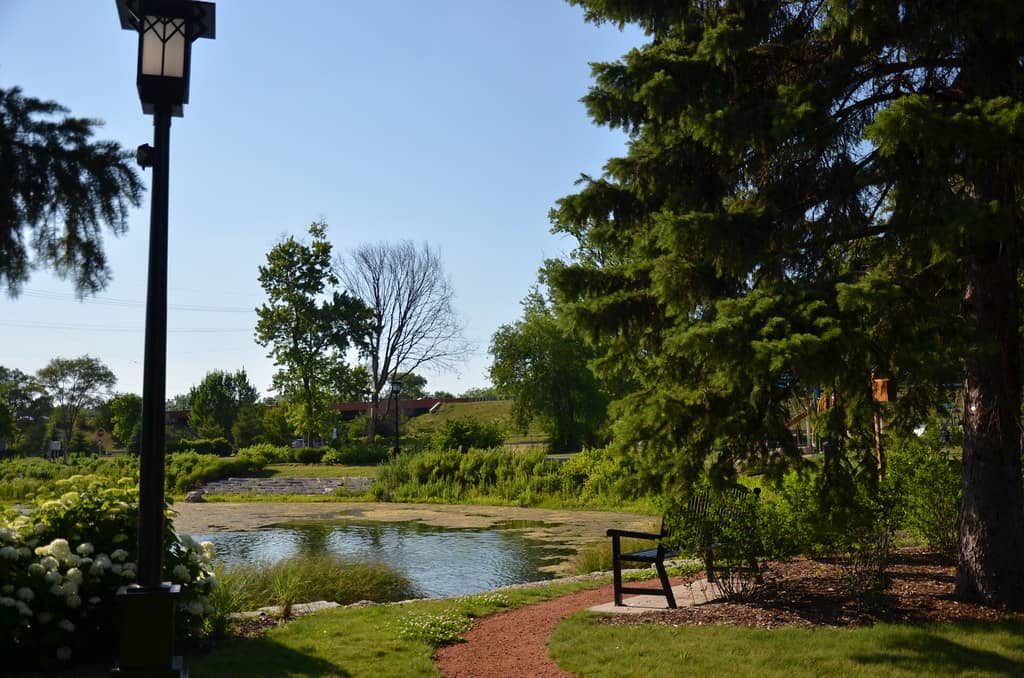 Kid and Dog-Friendly Paths