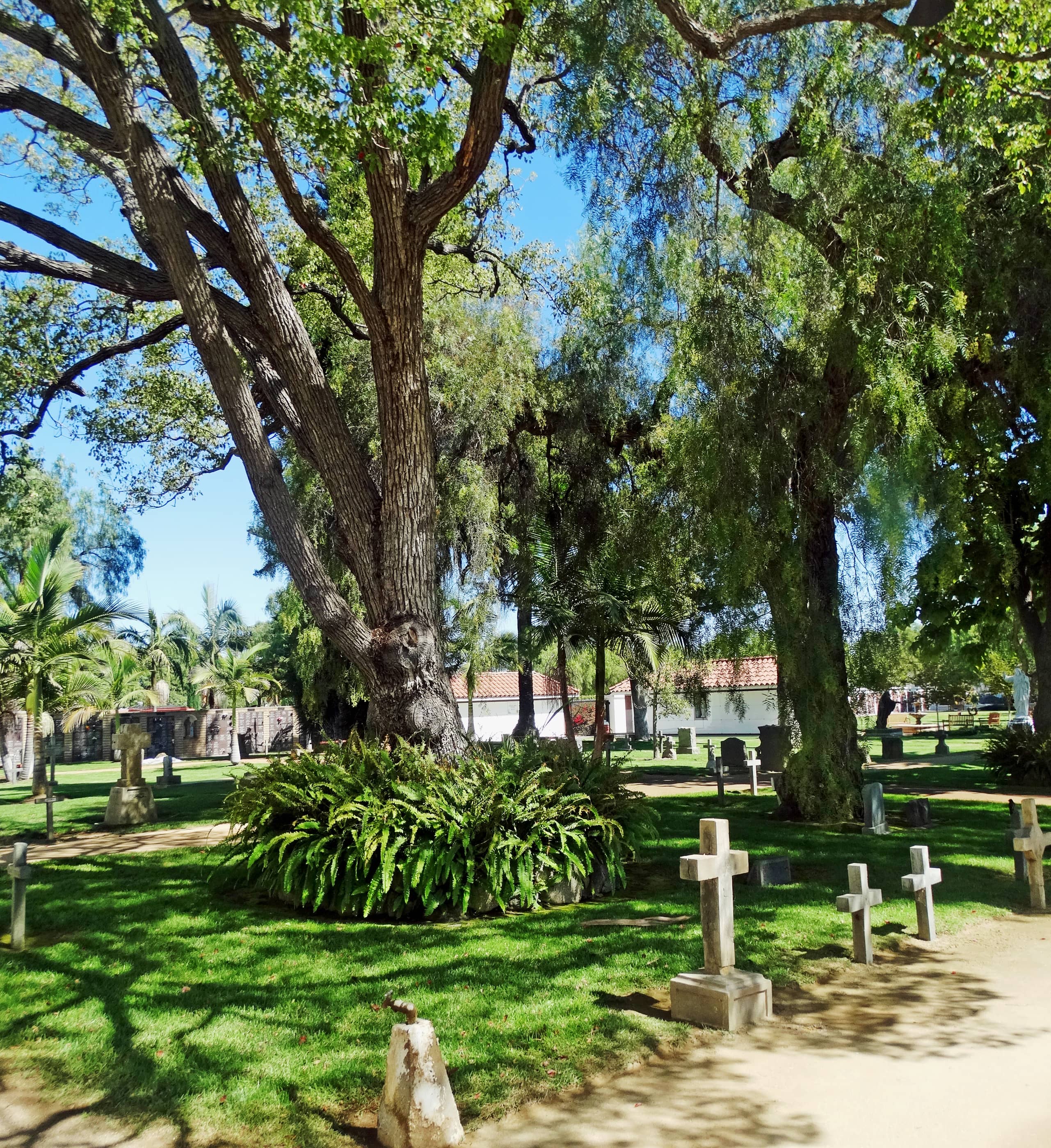 Peaceful Cemetery Grounds