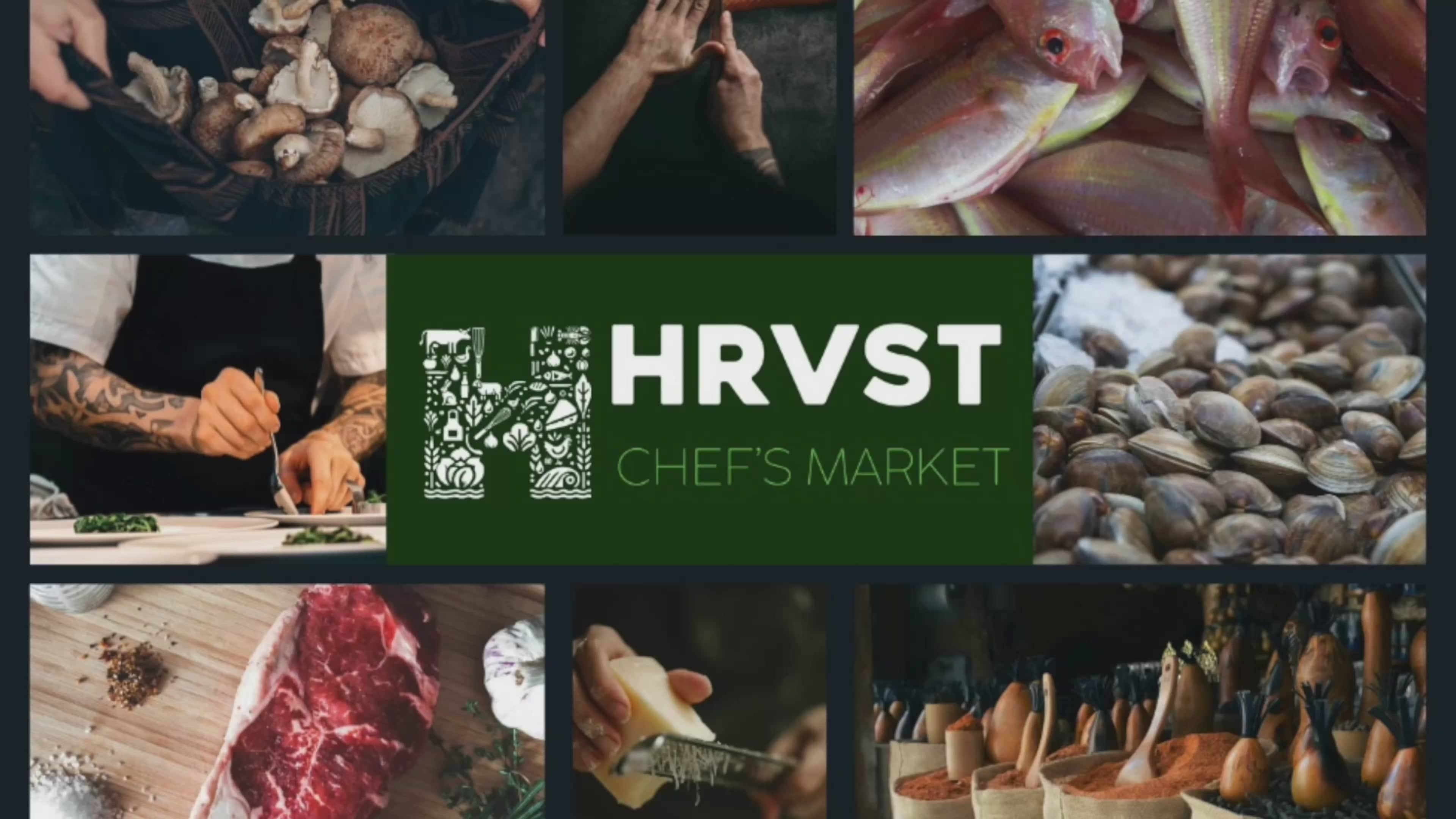 Artisan & Craft Vendors