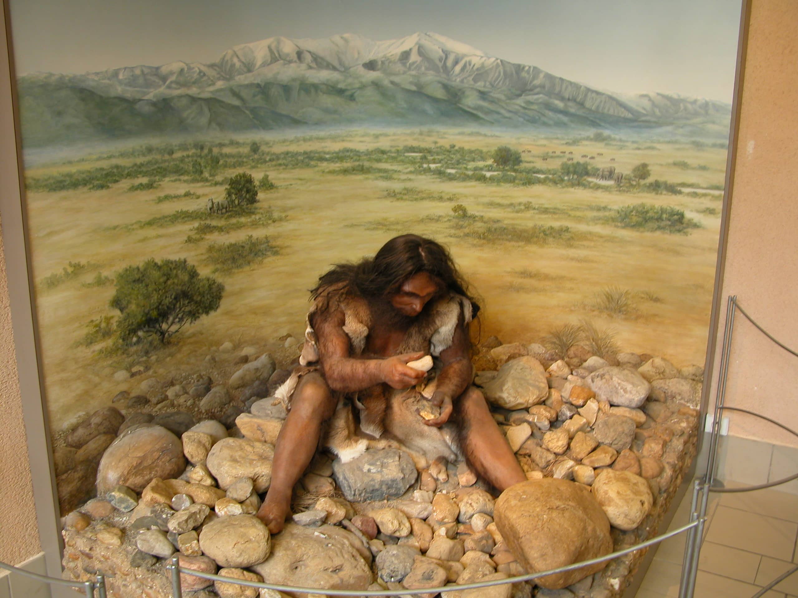 Passionate Staff & Library