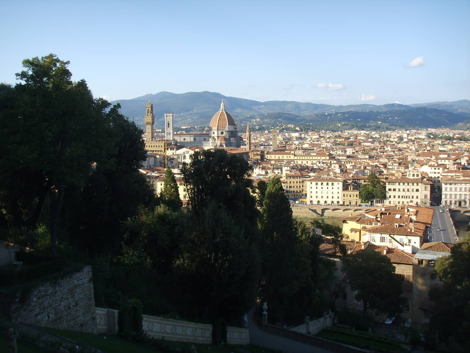 Panoramic Florence View