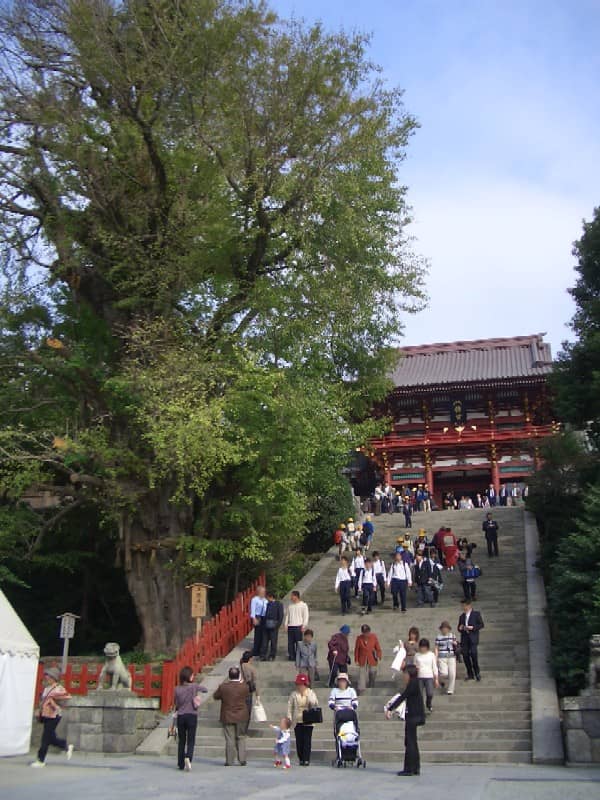 Shrine Grounds and Gardens