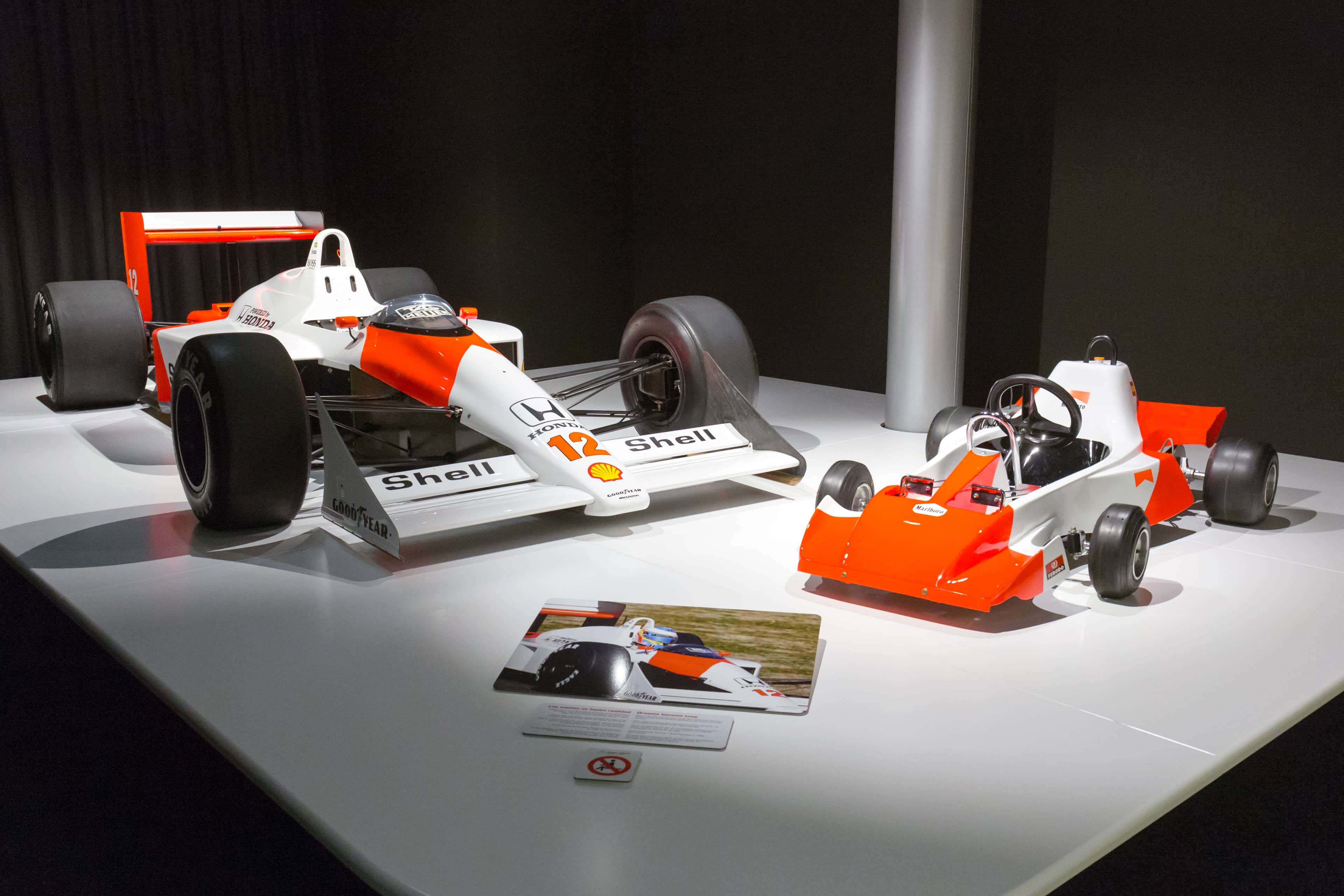 Ayrton Senna's Car