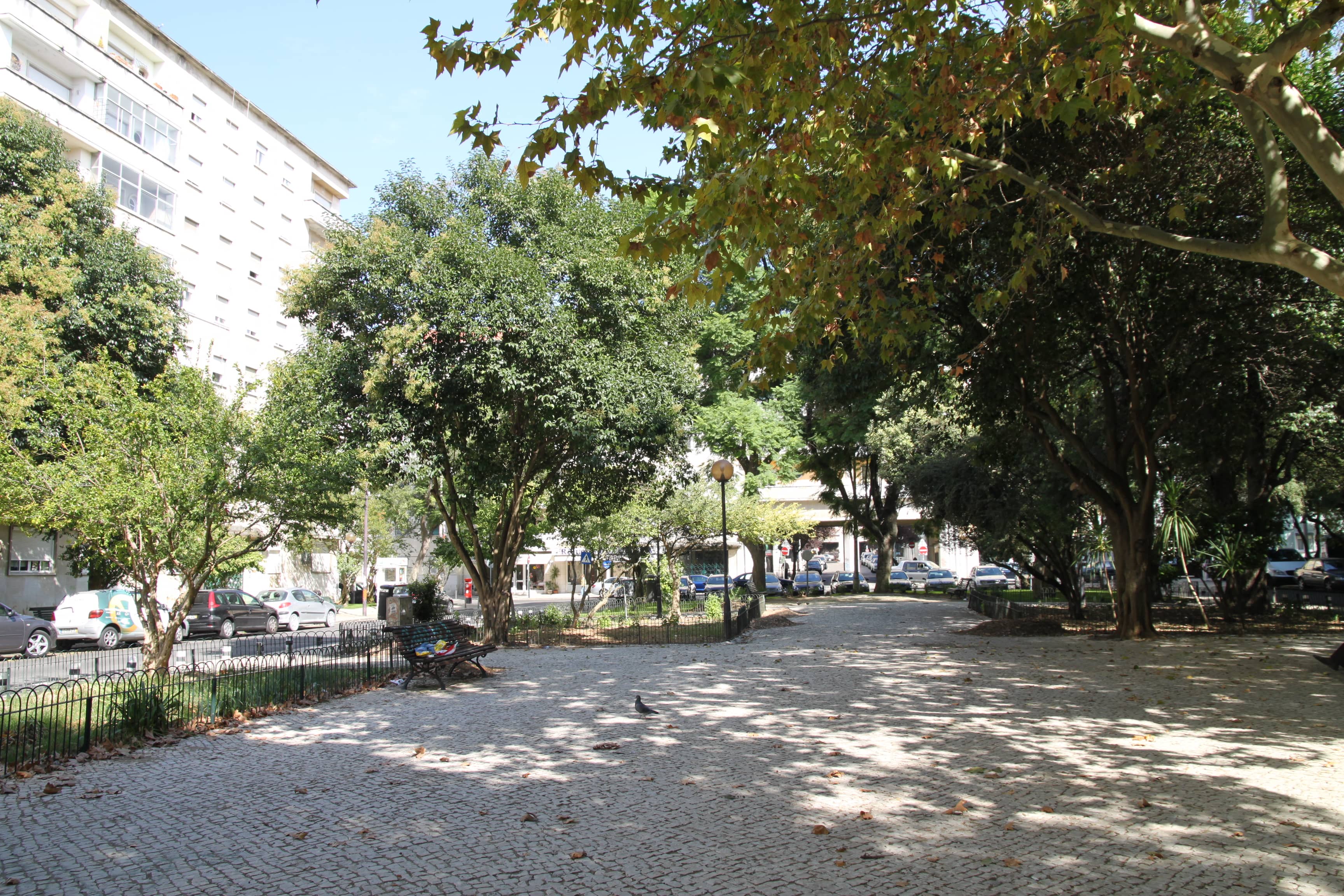 Relaxing Park Benches