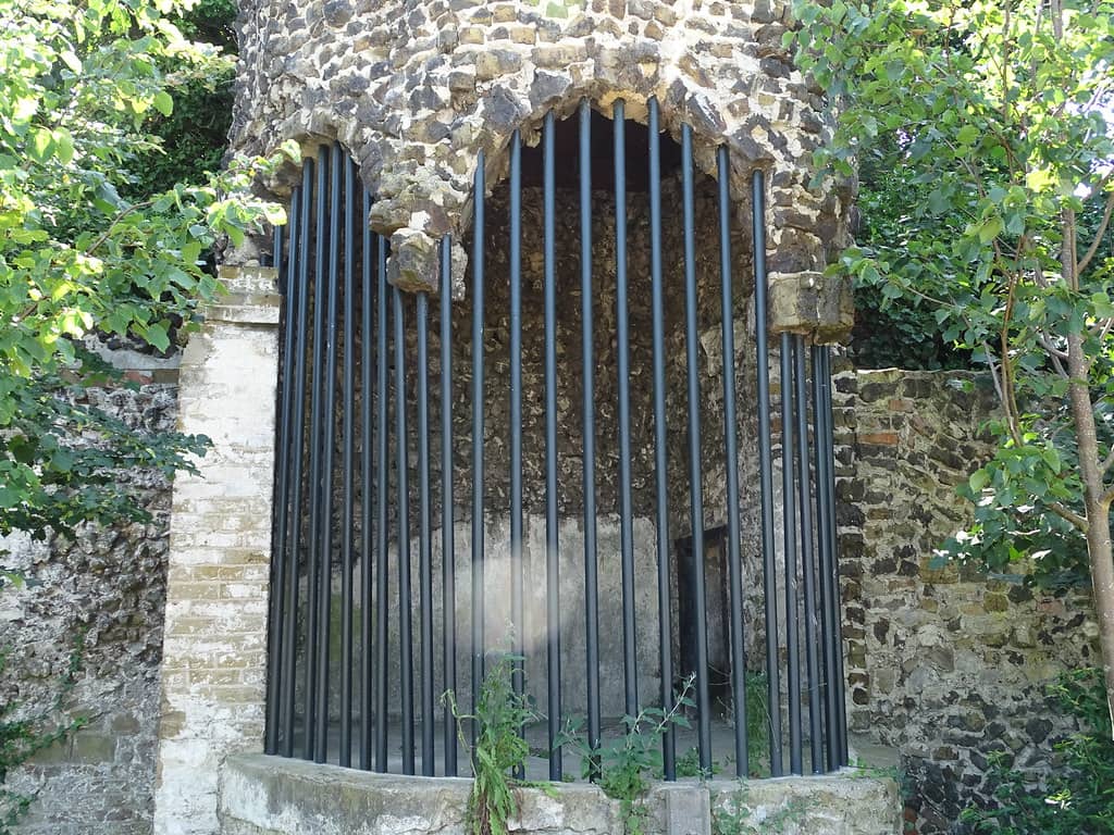 Diverse Animal Exhibits