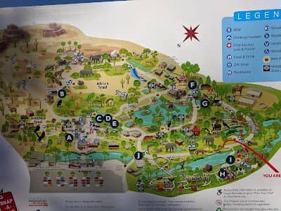 Local Eateries & Bars