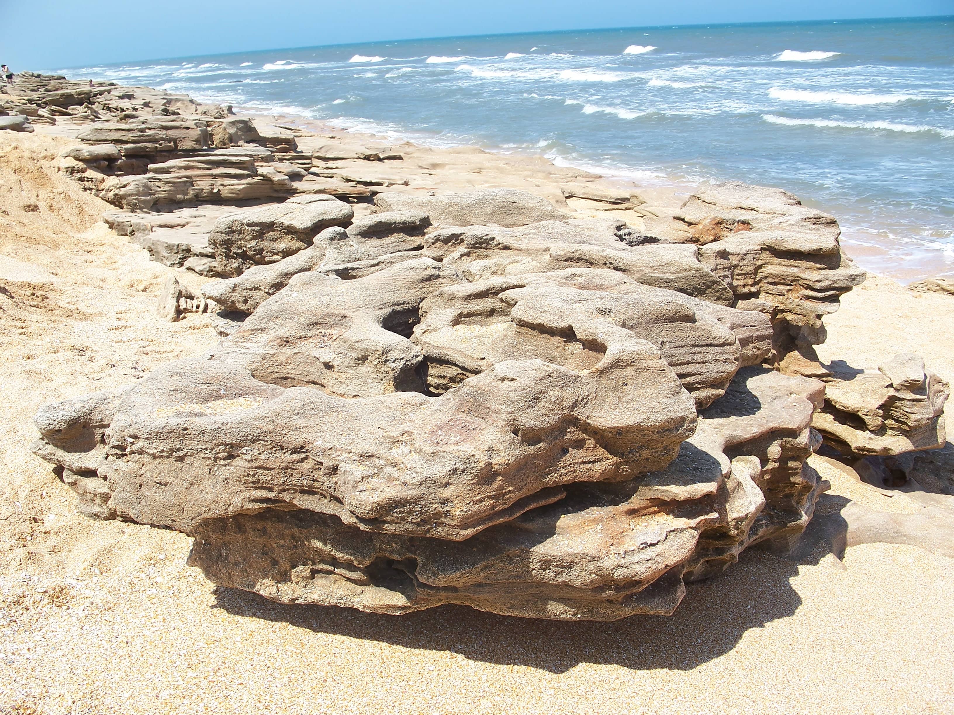Coquina Rock Formations