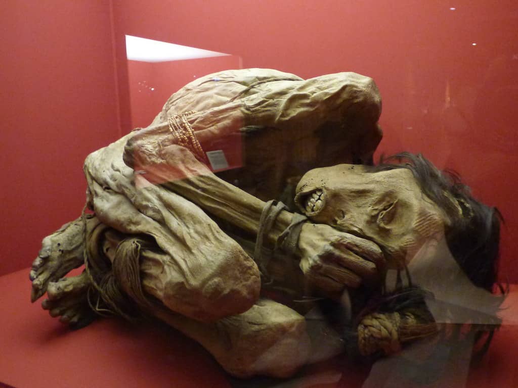 Rotating Exhibitions