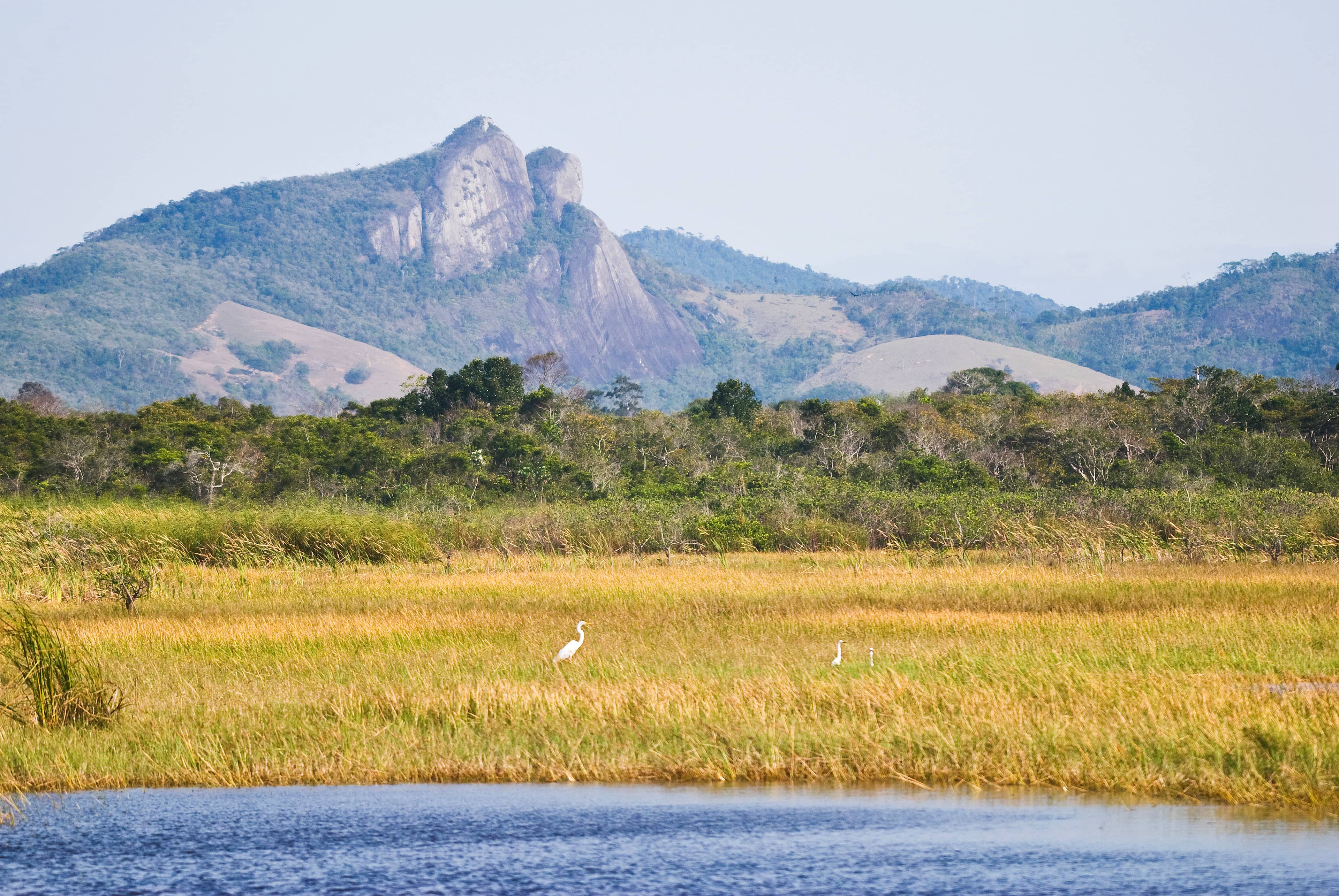Diverse Flora and Fauna