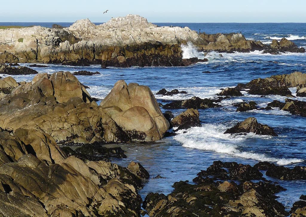 Tide Pools