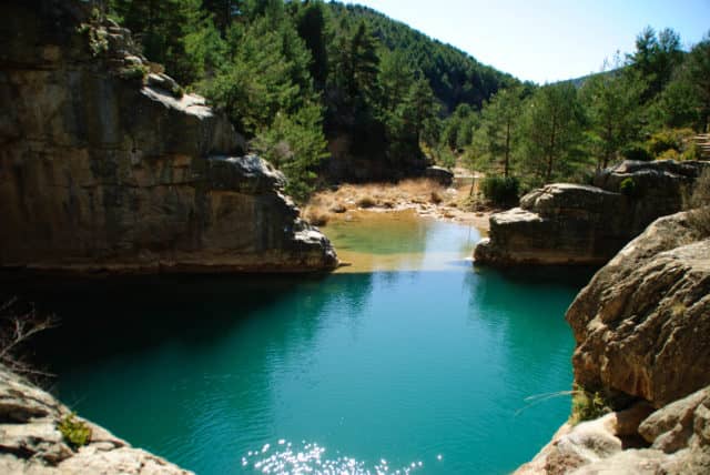 River Flora and Fauna