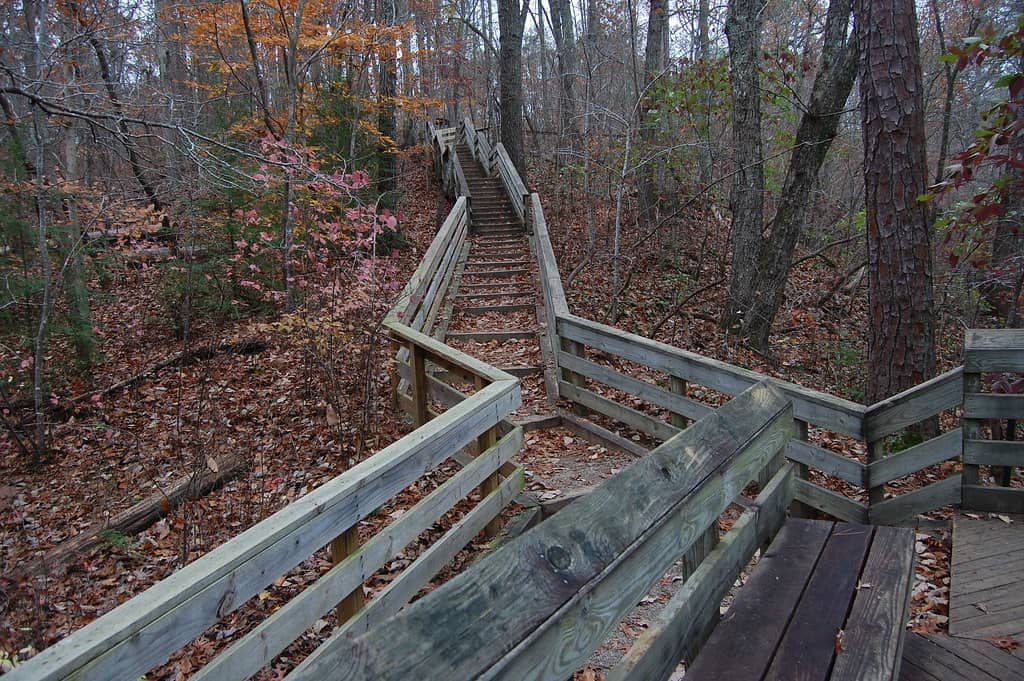 Children's Nature Play Area
