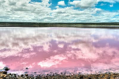 The Pink Great Salt Lake