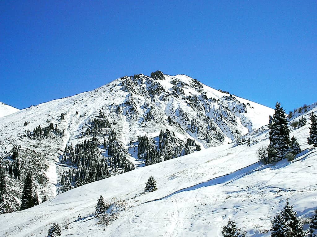 Skiing & Snowboarding