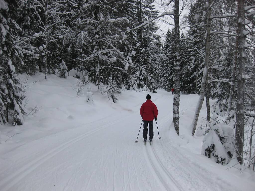 Winter Wonderland Skiing