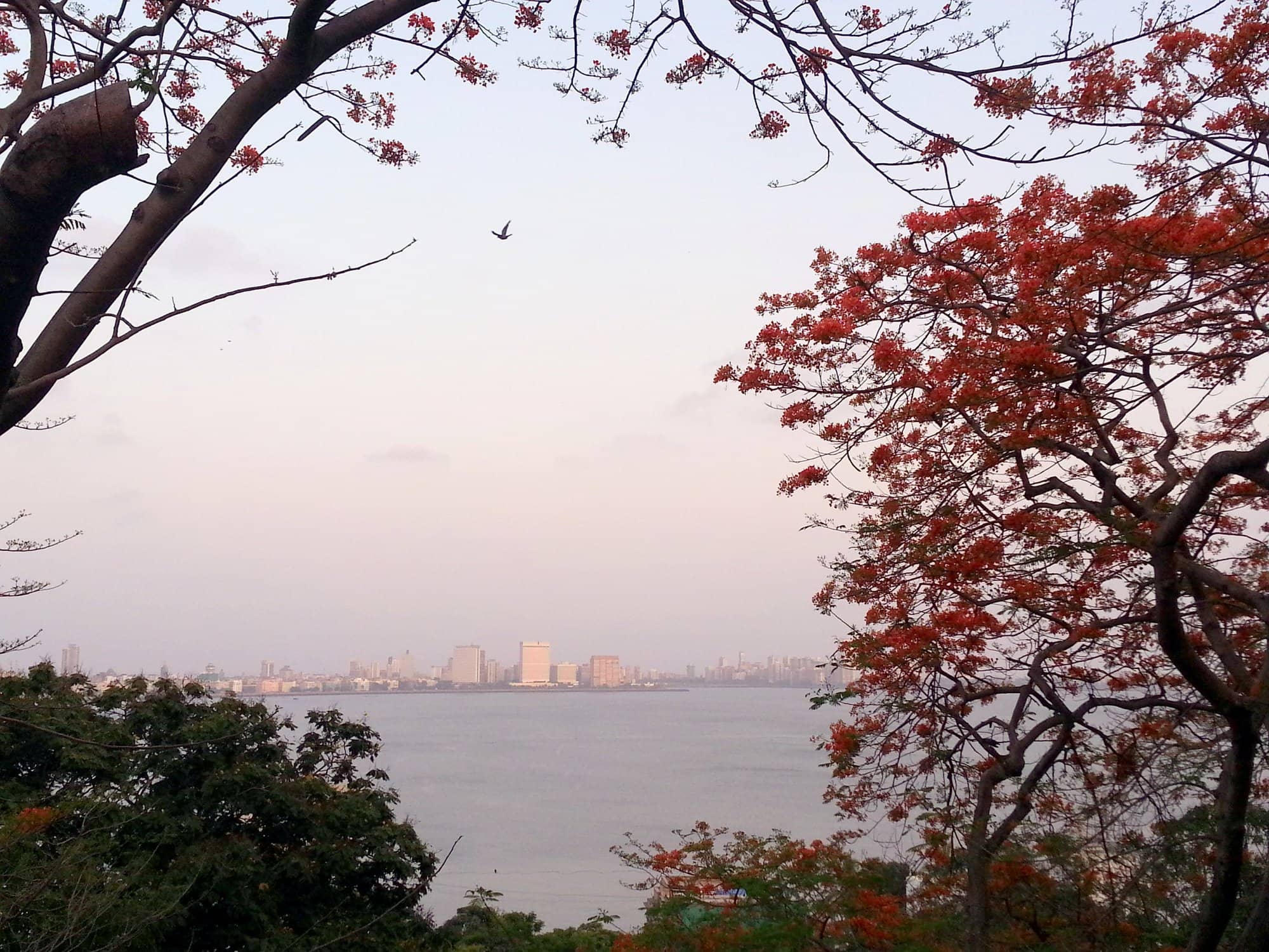 Panoramic Sea Views