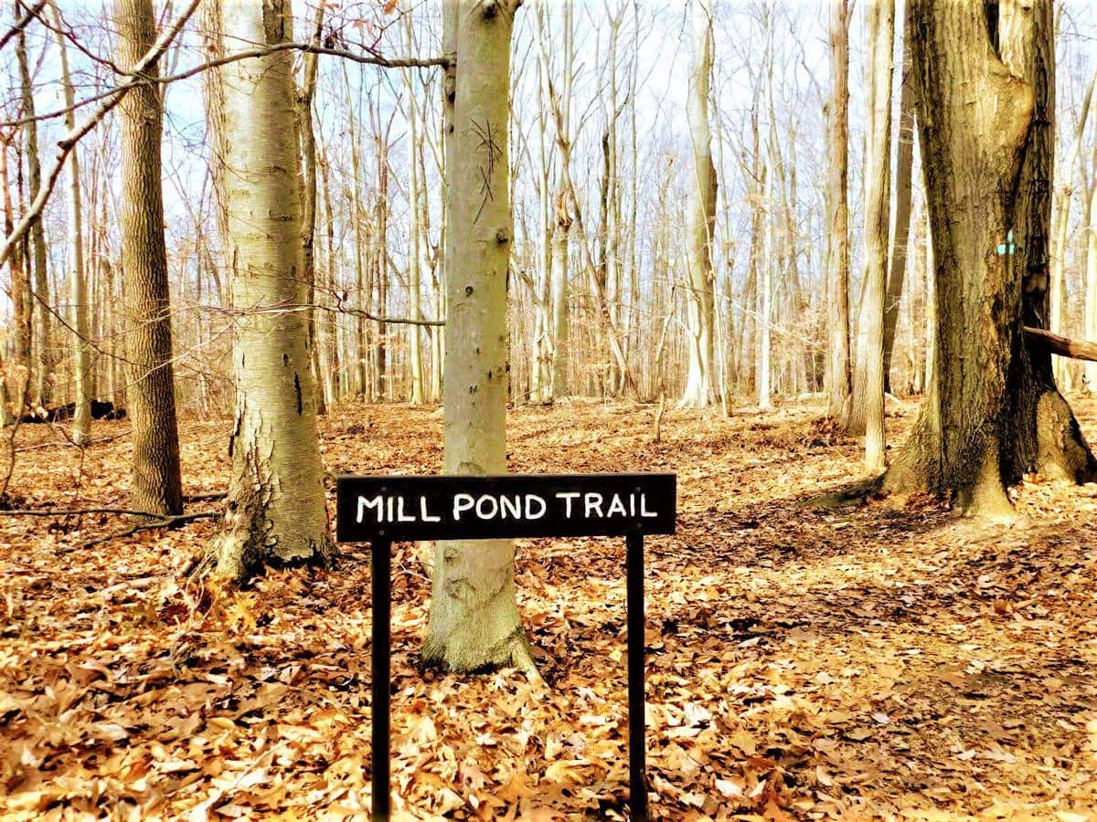 Mill Pond Trail