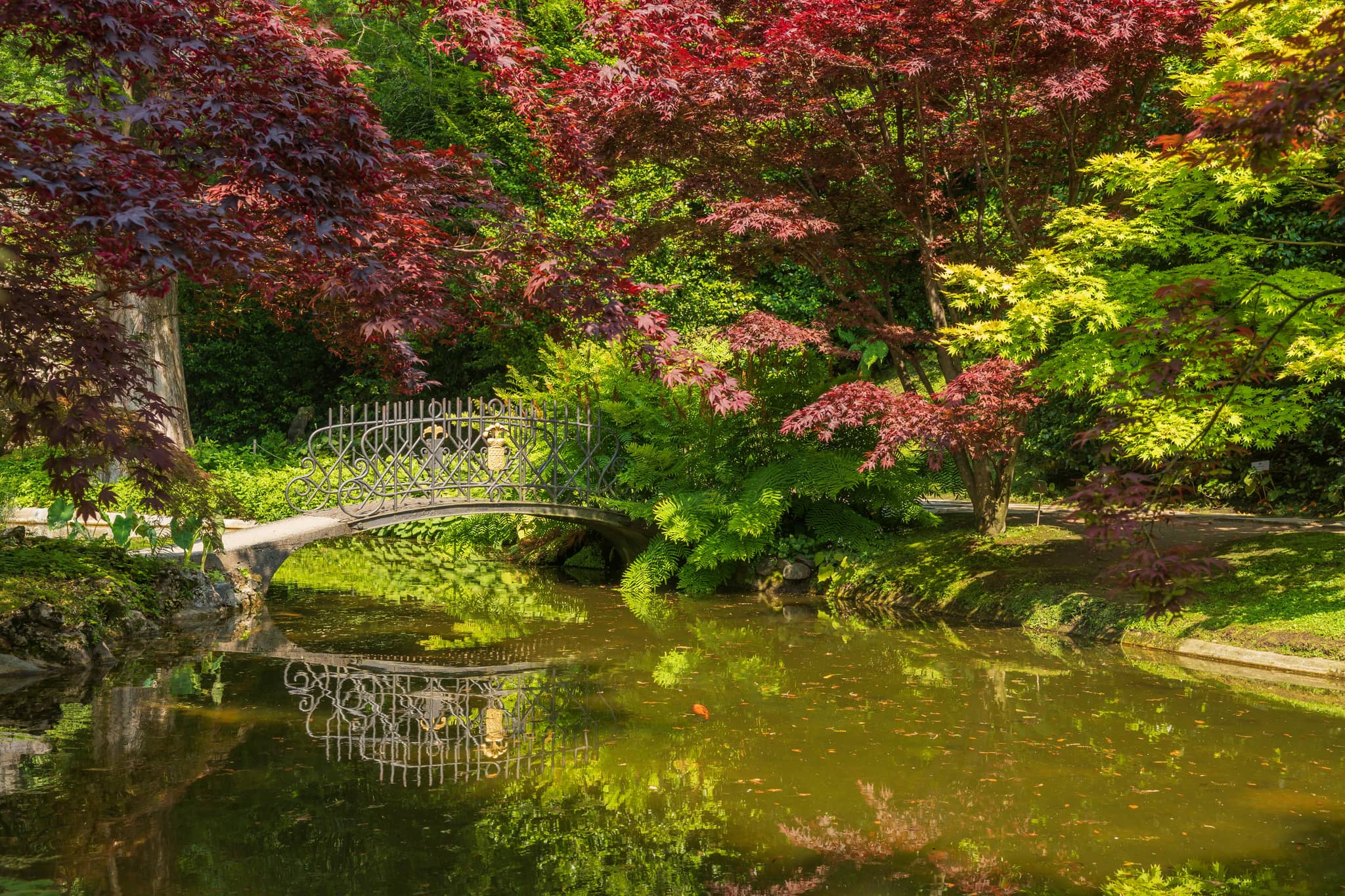 Peaceful Waterside Strolls