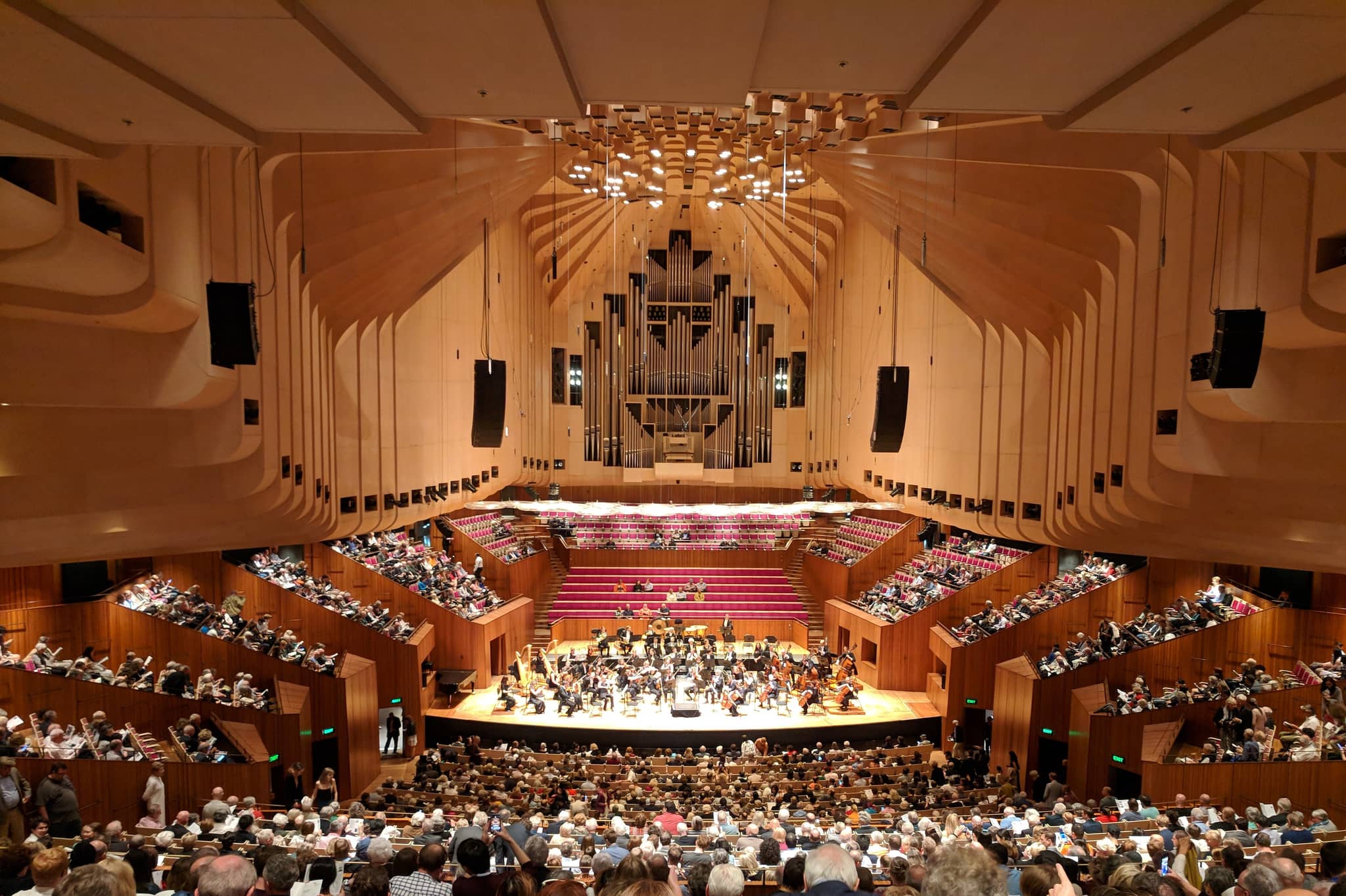 In-House Orchestra Performances