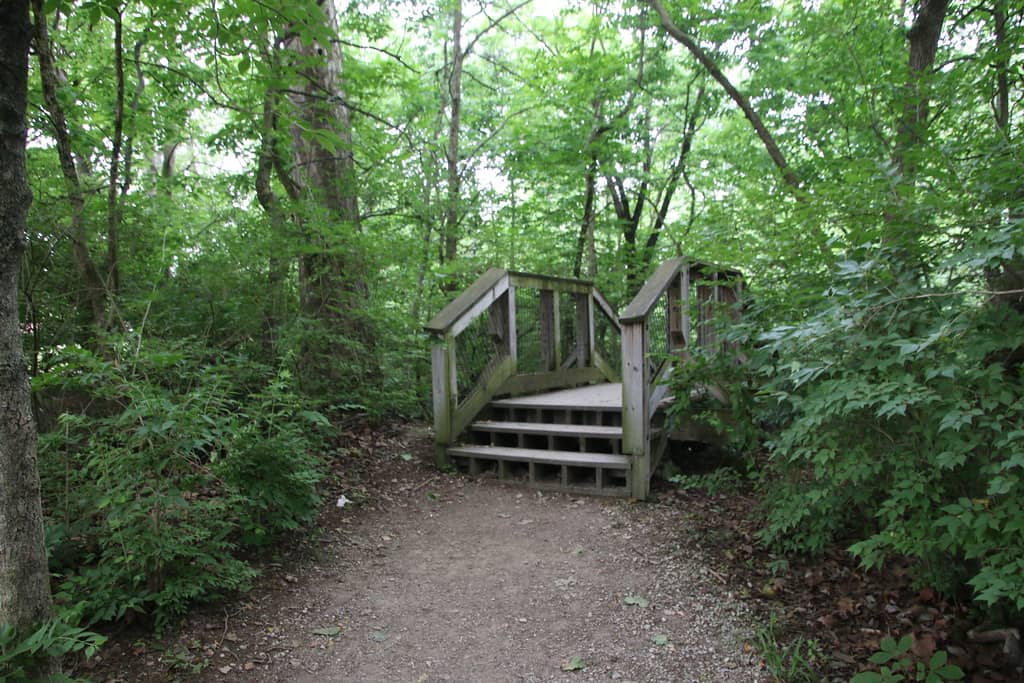 Wooded Nature Trails