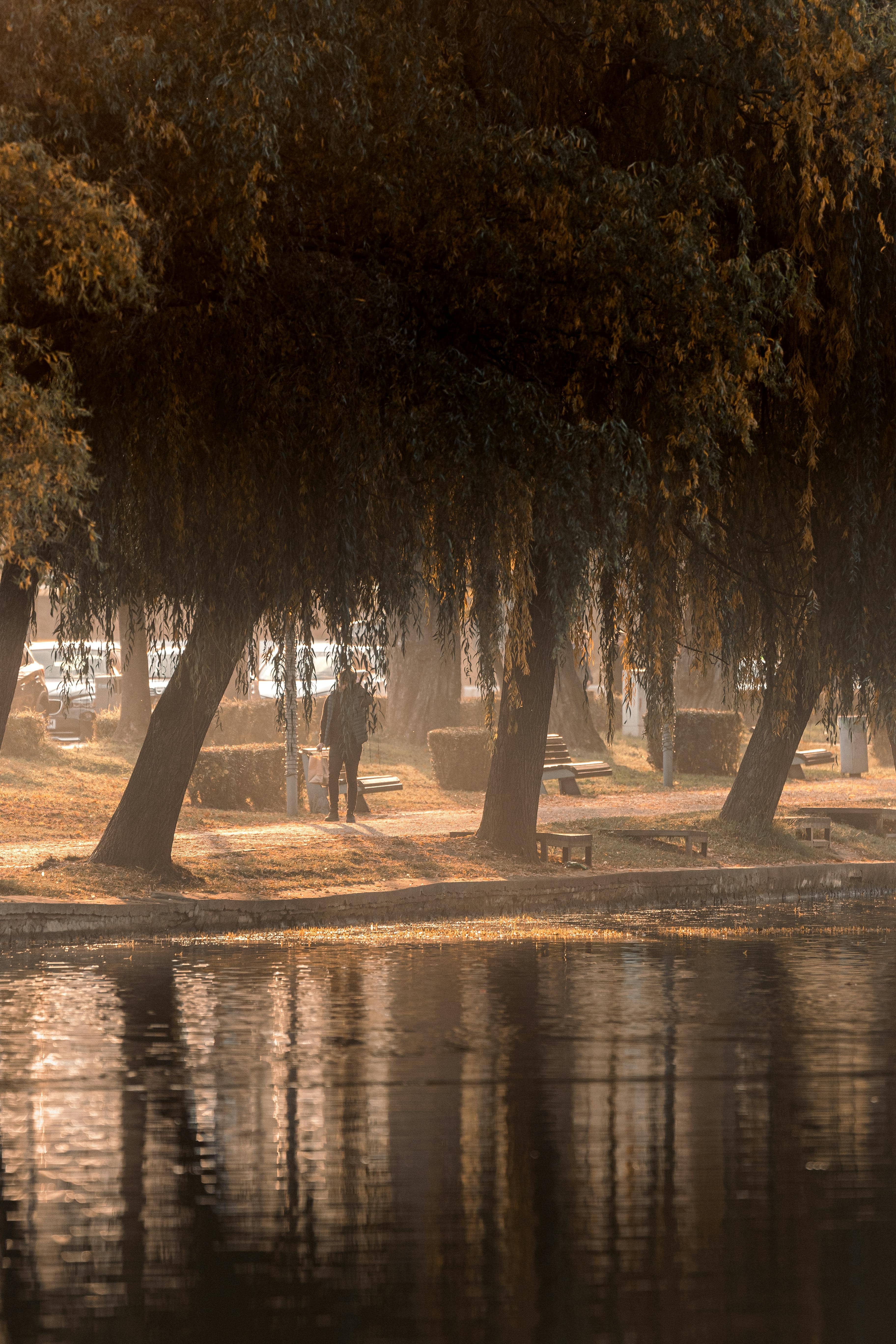 Golden Hour Photoshoots