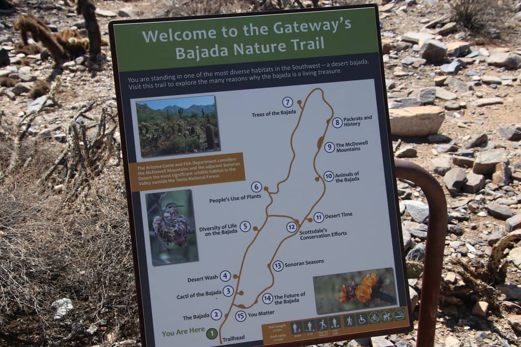 Extensive Trail System