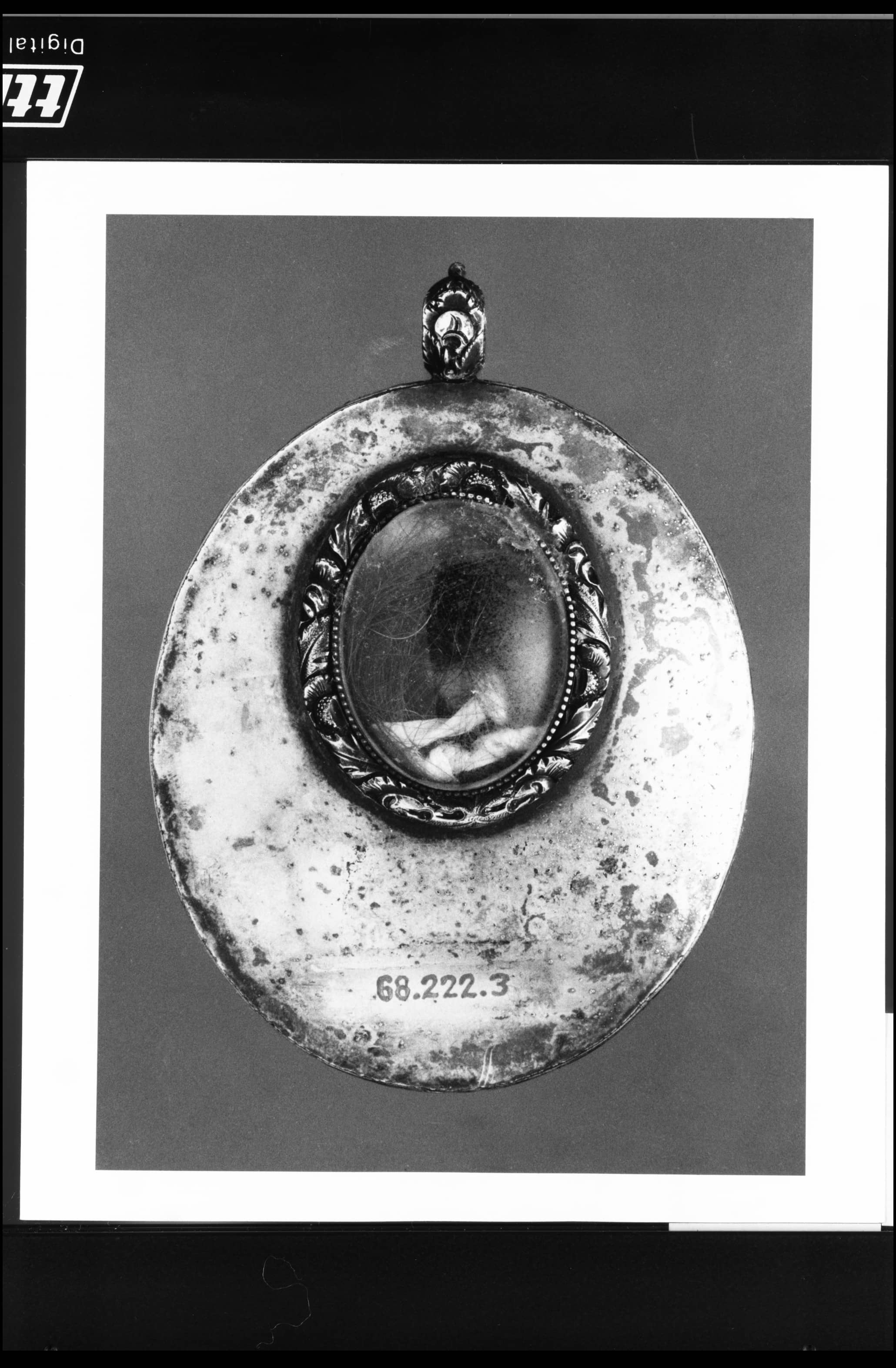 Peale's Natural History Collection