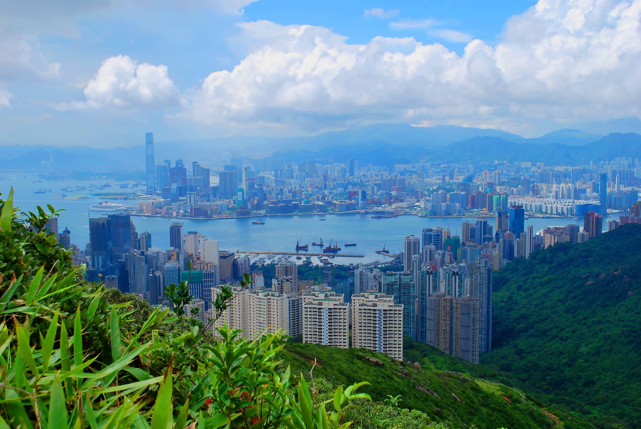 Reservoir Island Viewpoint