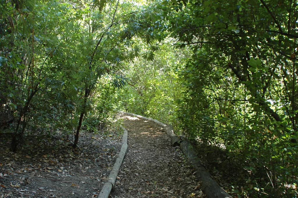 Interactive Nature Trails