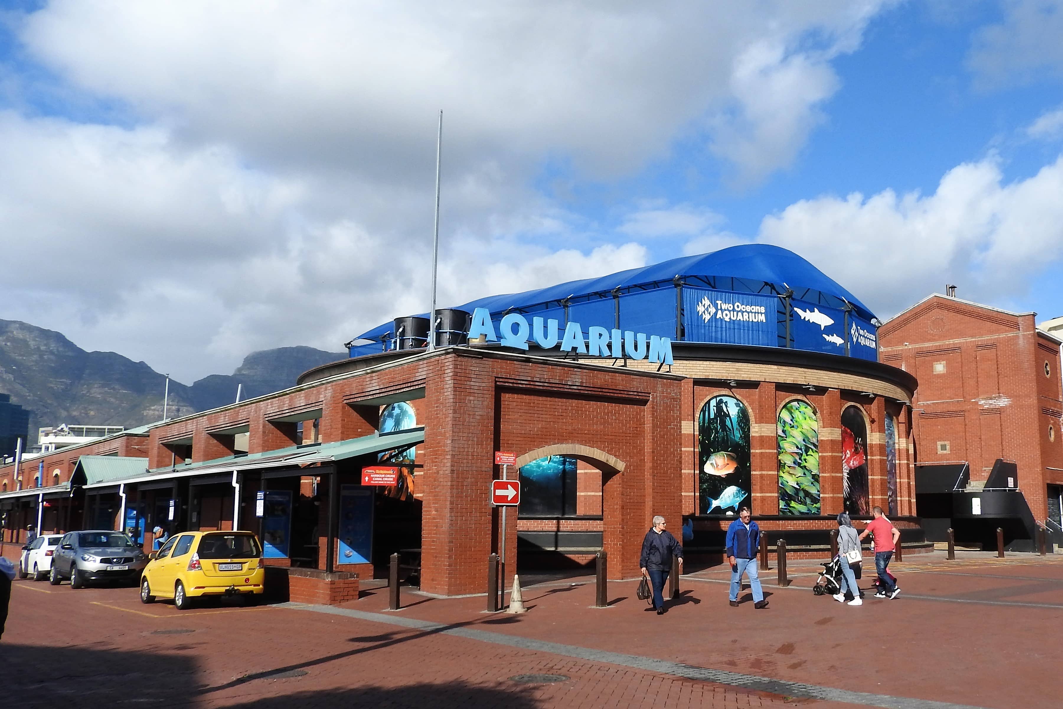 V&A Waterfront Aquarium