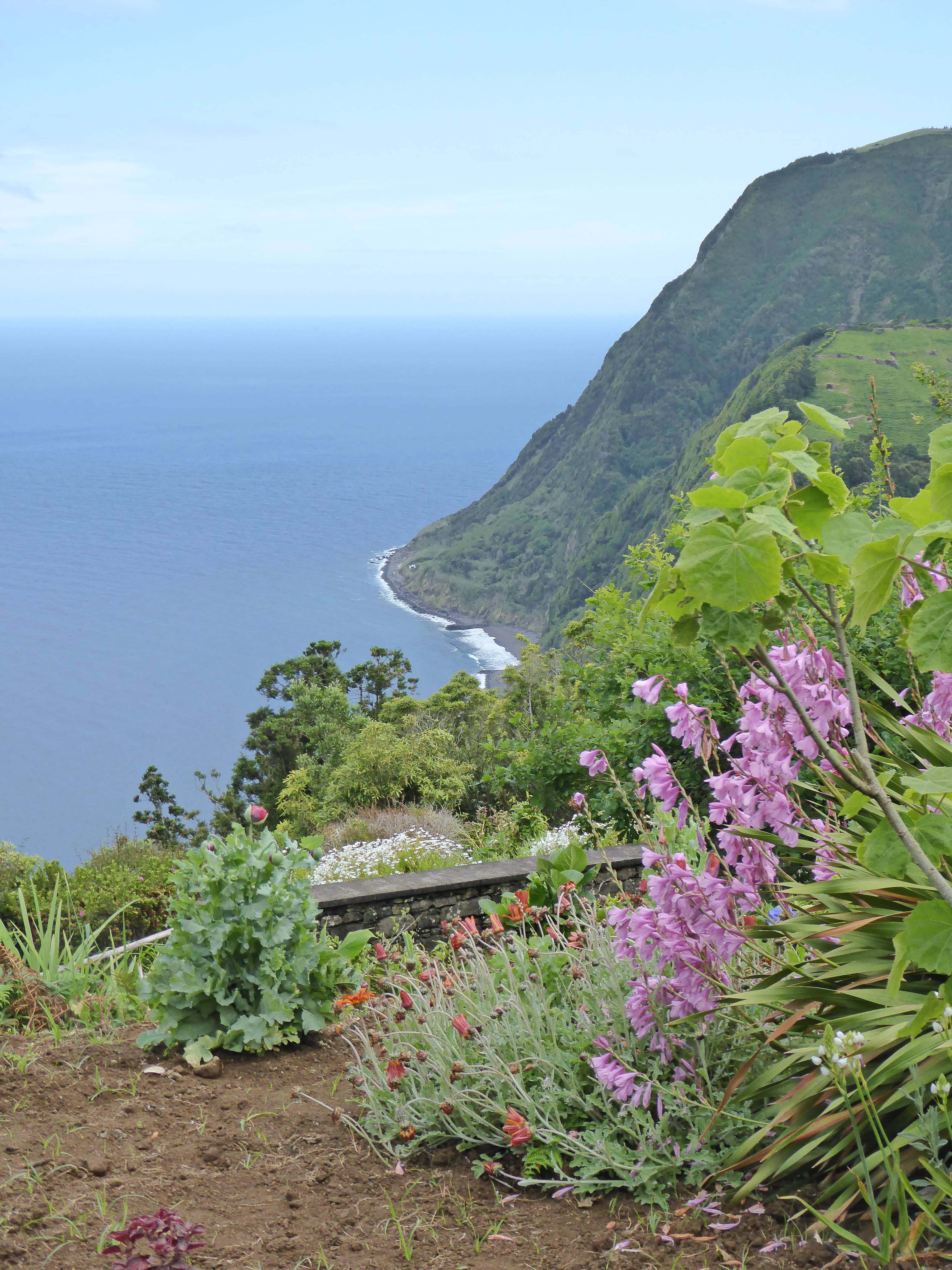 Panoramic Ocean Vistas