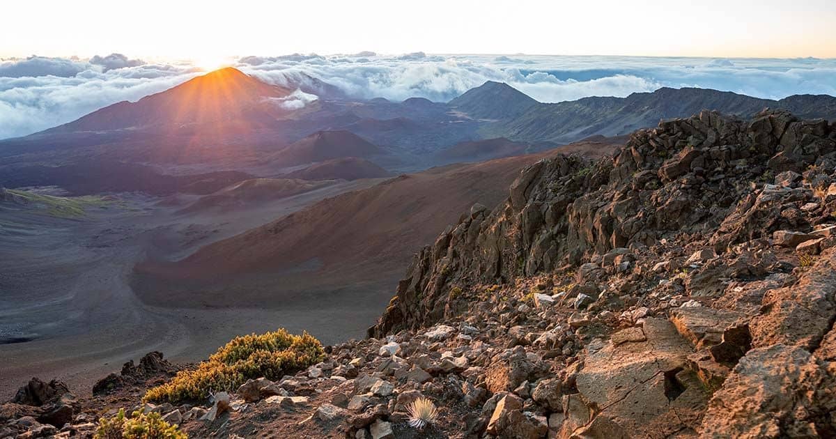 Local Boutiques & Shops