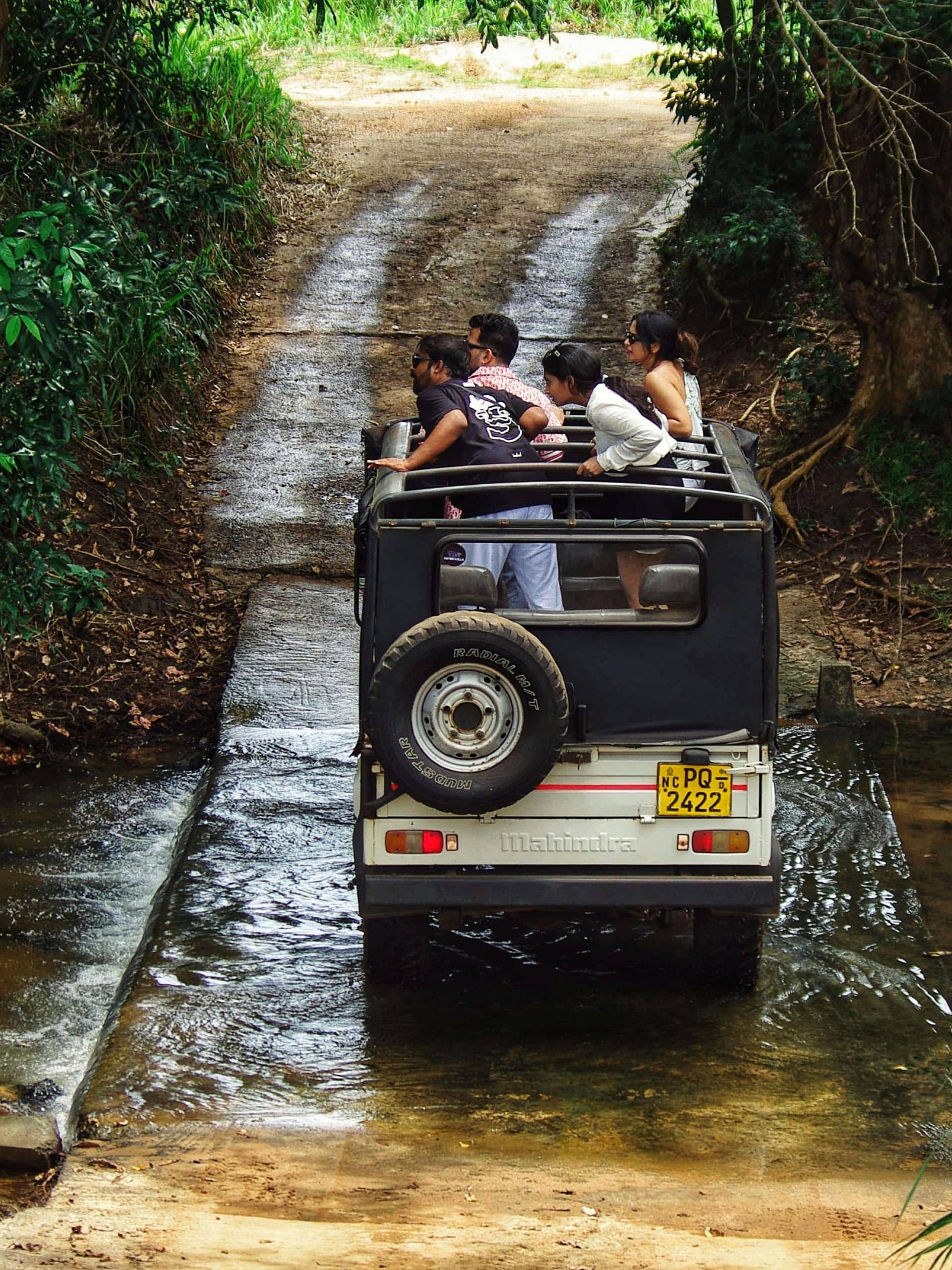 Twisted Trails Adventure Course