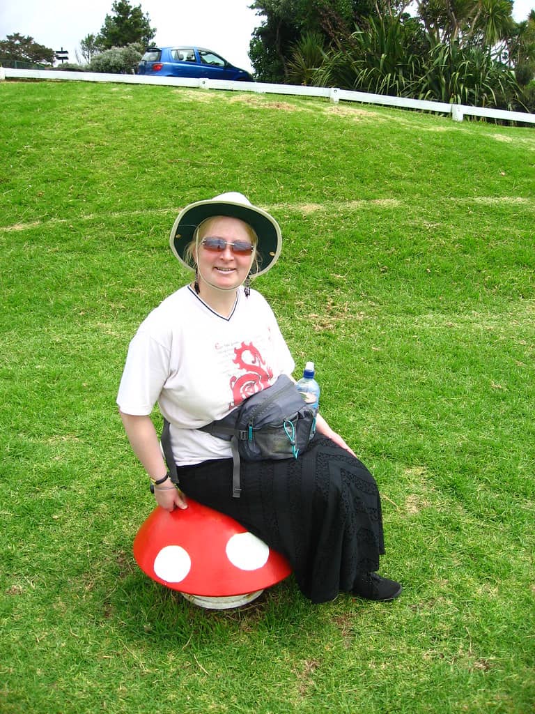 Whimsical 'Mushroom' Vents