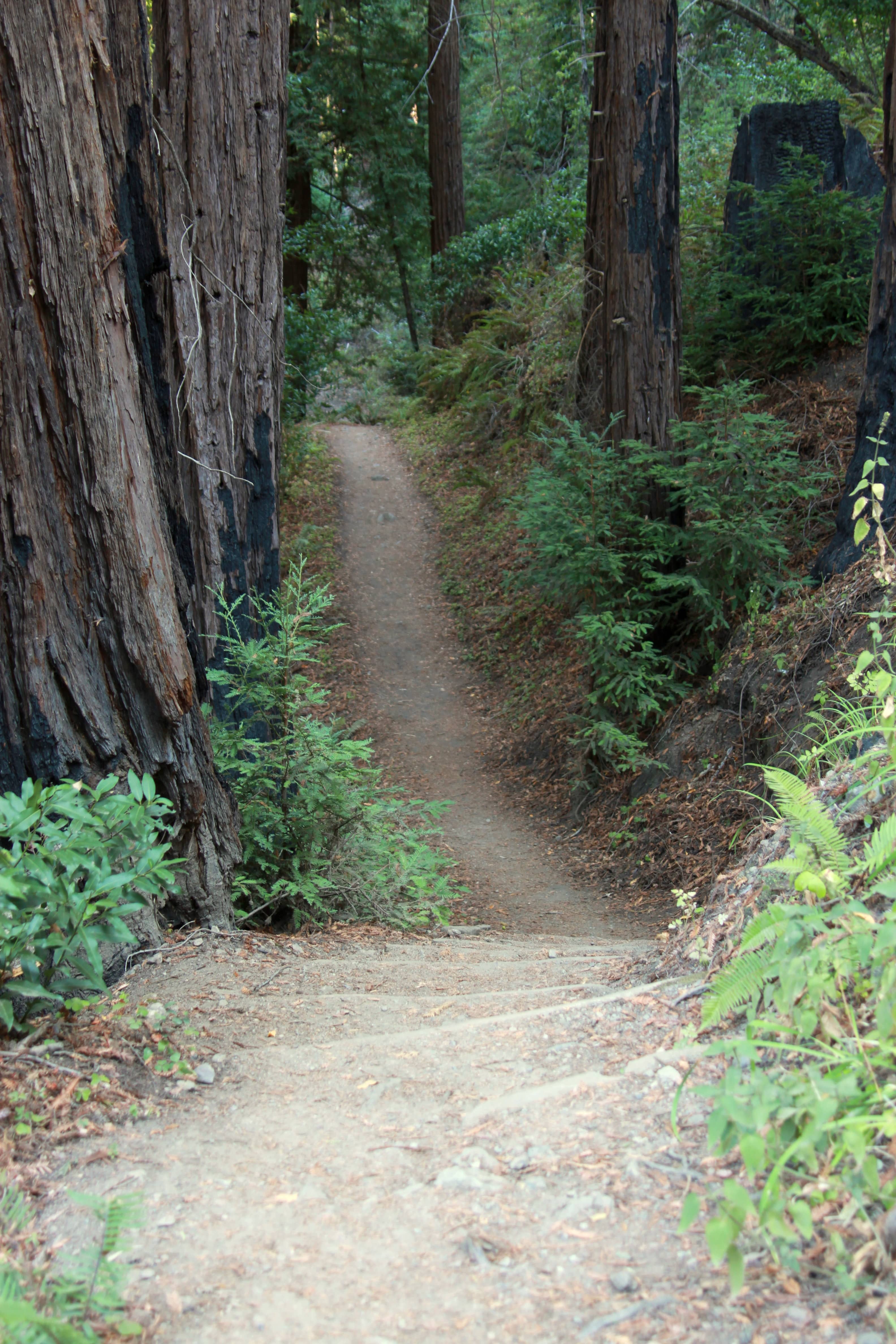 Big Sur Valley Vistas