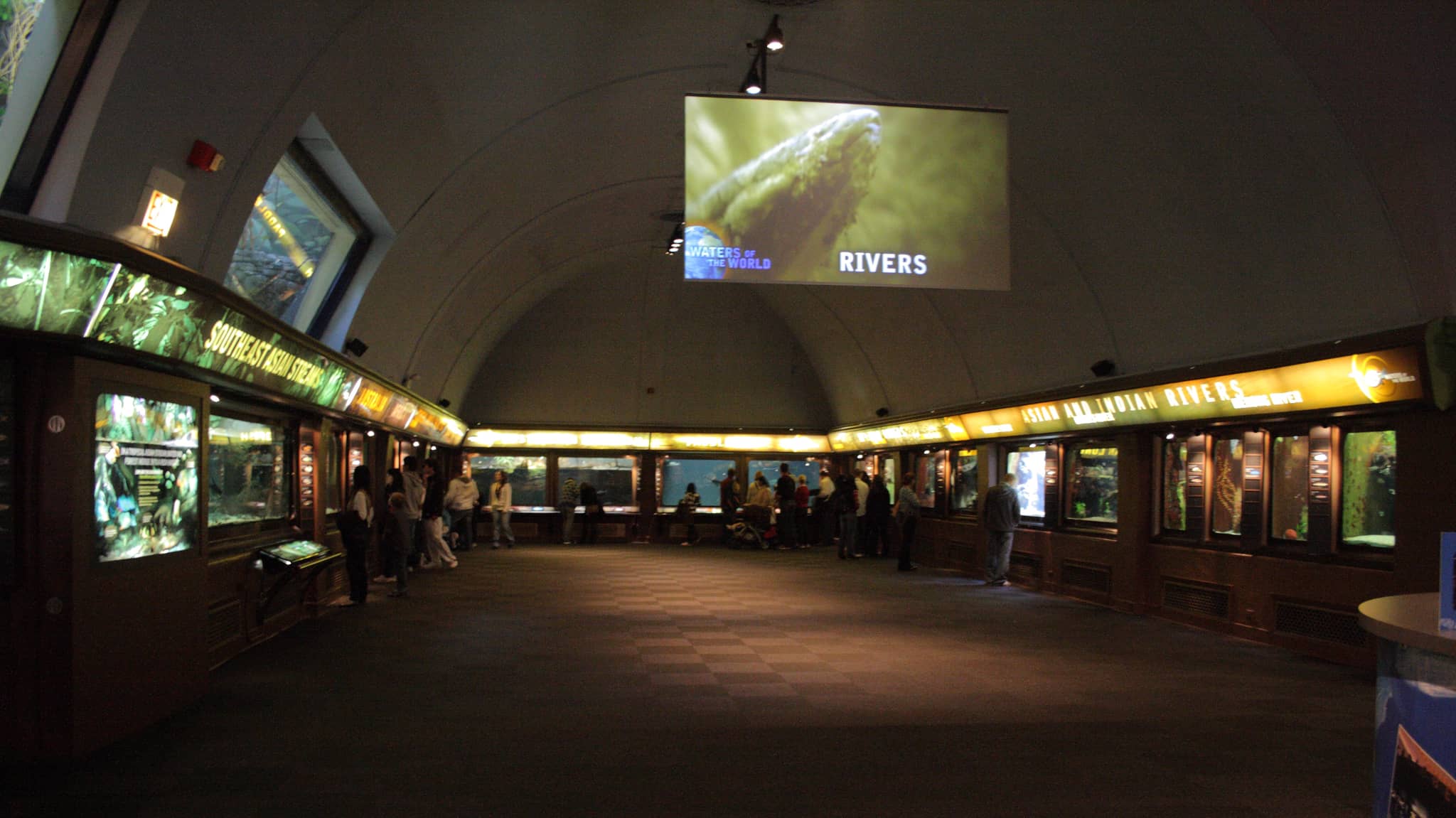 Shedd Aquarium's Aquatic Wonders
